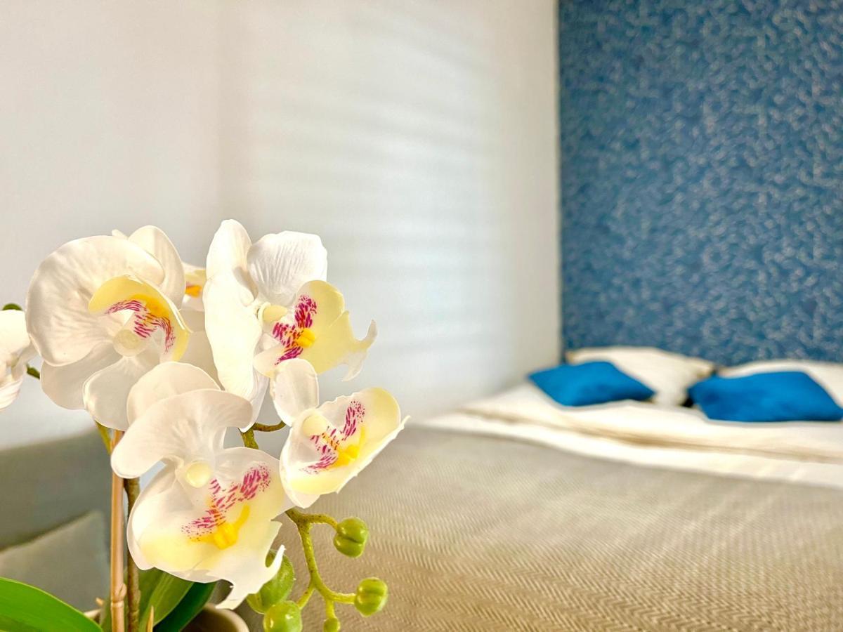 Cocon Luxe - Sauna & Balneo Au Coeur De แร็งส์ ภายนอก รูปภาพ